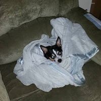 Profile Picture of Rusty Bennett (@rusty-bennett-1) on Quora