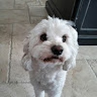 Profile Picture of Amanda Nesci (@amanda-nesci-5) on Quora