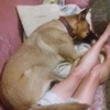 Profile Picture of yolandamcgregor (@@yolandamcgregor) on Tiktok