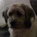 Profile Picture of Peter Linke (@peter.linke.5) on Facebook