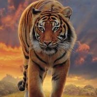 Profile Picture of Kalpesh Joshi (@kalpesh-joshi-22) on Quora
