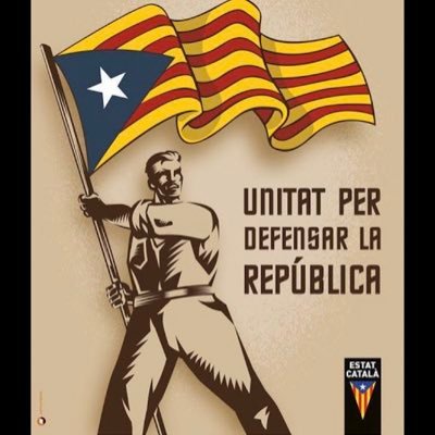 Profile Picture of Ferran PujolBenlloch (@ferranpujol) on Twitter