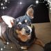 Profile Picture of Tina Wilcher (@tina.wilcher.50) on Facebook