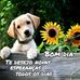 Profile Picture of Ada Schroeder (@ada.schroeder.10) on Facebook
