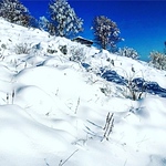 Profile Picture of Paola Muzzolini (@paolamuzzolini) on Flickr