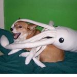 Profile Picture of Joe Meagher (@jmeagher02) on Instagram