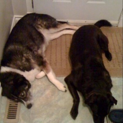 Profile Picture of Scott Rideout (@leafs4ever_67) on Twitter