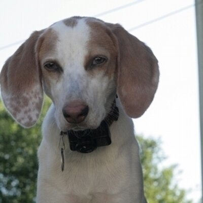 Profile Picture of John Rapoza (@JJRapoza) on Twitter