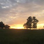 Profile Picture of Jamie McIntyre (@jmac712) on Instagram