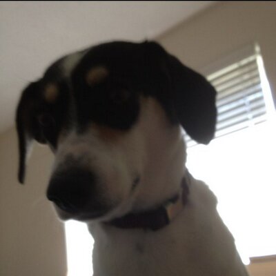 Profile Picture of Eric Falcon (@Falconnator) on Twitter