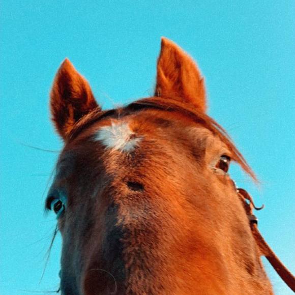 Kaity Leeden - Poshmark Profile Picture of Kaity Leeden (@kaity965) on Poshmark