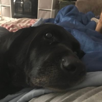 Profile Picture of Matt Rylance (@RylanceMatt) on Twitter