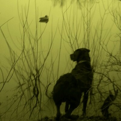 Profile Picture of Hunter Byrd (@Free_Byrd97) on Twitter