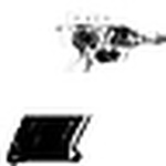 Profile Picture of Michael  Polane (@iili q) on Flickr