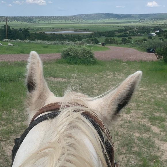 Profile Picture of Jenni Mccleve (@hearts4hope) on Poshmark