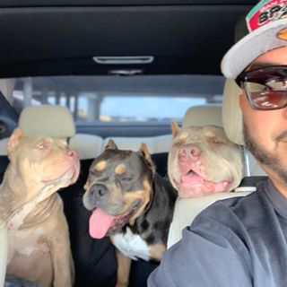 Profile Picture of Lorenzo Cisneros (@lorenzo.cisneros.35) on Facebook