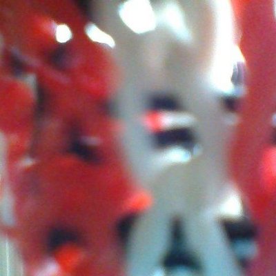 Vandamme Marc - Twitter Profile Picture of Vandamme Marc (@letroll_peteur) on Twitter