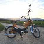 Profile Picture of Joel Wüthrich (@schoeggu2002) on Instagram