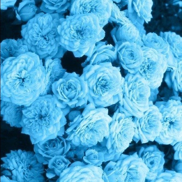 Profile Picture of Storm Gusky (@kswizzle66) on Poshmark