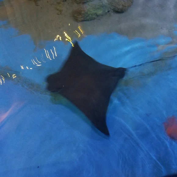 Profile Picture of Carrie Schneider (@cschnei0) on Poshmark