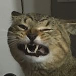 Profile Picture of Melvin Howe (@melvinkittty) on Instagram