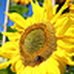 Profile Picture of Happydaymemories (@happydaymemories) on Flickr