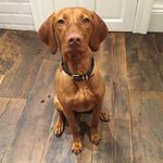 Profile Picture of Red Mackey Grand (@redmackey) on Instagram