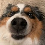 Profile Picture of Connie (@ctesta76) on Instagram
