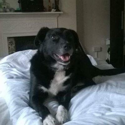 Profile Picture of Stephen Vine (@Stephenvine10) on Twitter