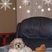 Profile Picture of Kym Accardi Comer (@kym.comer) on Facebook