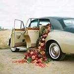 Profile Picture of Amira Abu Samaha (@amiraabusamaha) on Instagram