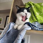 Profile Picture of Jamie Tripp (@jamie.tripp) on Instagram