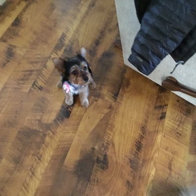 Profile Picture of Pat Litton (@pat_litton) on Twitter