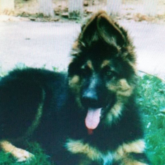 Profile Picture of Kelly Trzcinski (@beingchange) on Poshmark