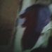 Profile Picture of Charlie Trosclair (@charlie.trosclair.5) on Facebook