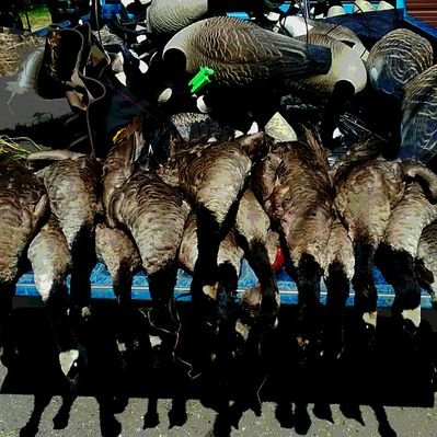 Profile Picture of Tyler Manley (@TylerManley10) on Twitter