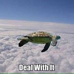 Greg Sands - Instagram Profile Picture of Greg Sands (@mrsands33liveca) on Instagram