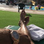 Profile Picture of Ahmad Samra (@samra3432) on Instagram