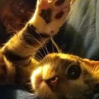 Profile Picture of Adrian Lall (@adrian-lall-2) on Quora