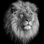 king option   کیلس استارتر. keyless start مانیتور اندروید ردیاب - Instagram Profile Picture of king option   کیلس استارتر. keyless start مانیتور اندروید ردیاب (@key_less_start) on Instagram