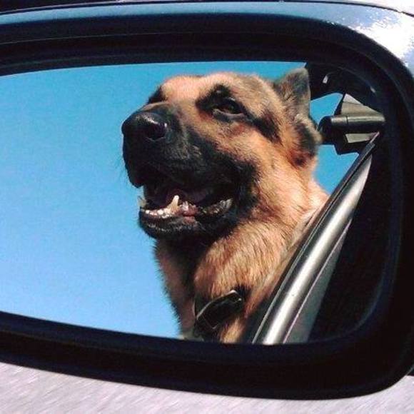 Profile Picture of Mike Mozier (@sjlkom) on Poshmark