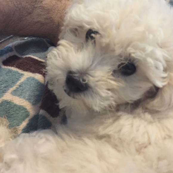 Profile Picture of Erik Landeros (@landerik) on Poshmark