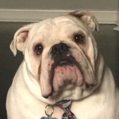 Profile Picture of Carson Palmer (@realcarsonpalm) on Twitter