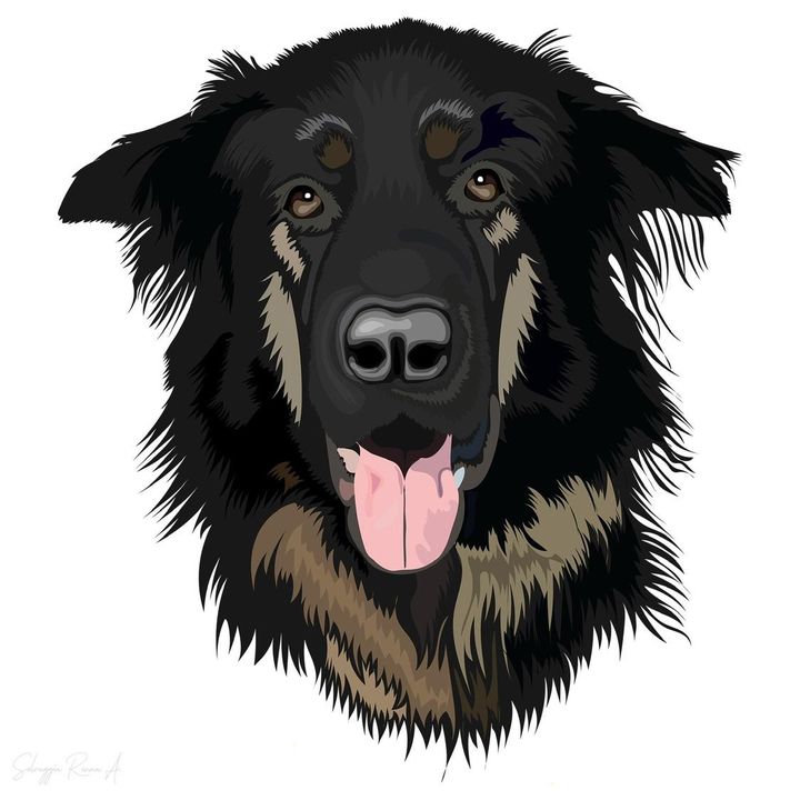 Profile Picture of Dexter (@@dextergsd_) on Tiktok