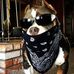Profile Picture of Christopher Rocha (@christopher.rocha.92167me) on Facebook