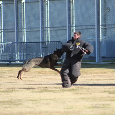 Profile Picture of Derek Melancon (@dmelanconk9er) on Twitter