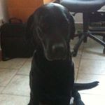 Profile Picture of Michael Monz (@monz.michael) on Instagram