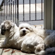 Profile Picture of Jonathan Bae (@jonathanbae9379) on Youtube