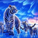 Profile Picture of Raymond Poon (@poon3533) on Instagram