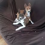 Profile Picture of Eileen Andrade (@andrade.eileen) on Instagram